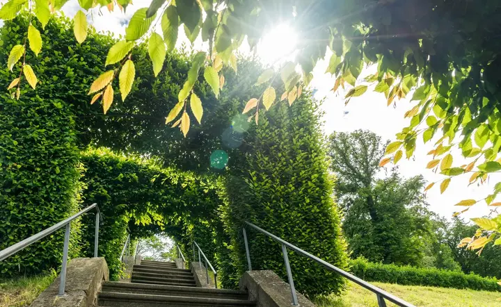 Laubengang mit Treppe